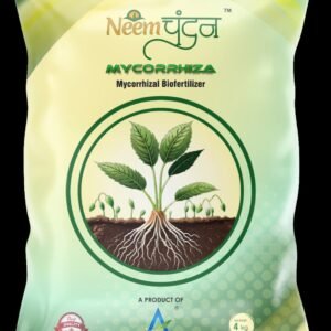 Neem Chandan – Mycorrhizal Biofertilizer